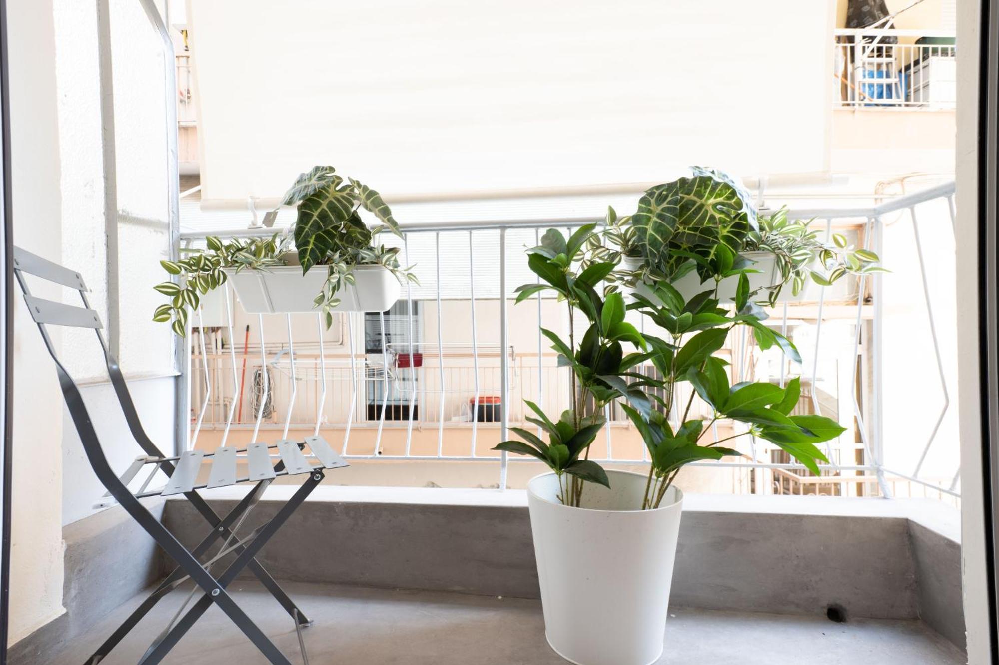 F & B Collection - Flat For 3 Apartment